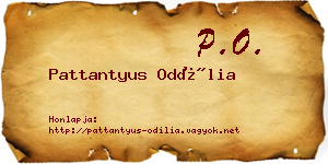 Pattantyus Odília névjegykártya